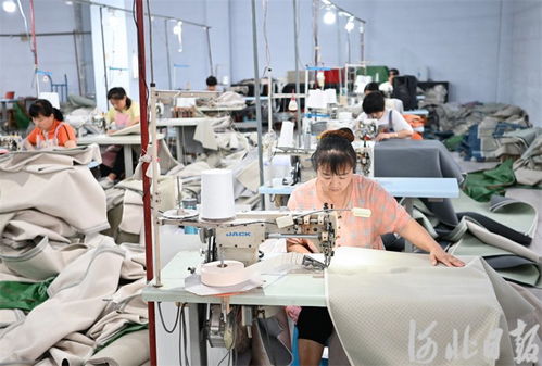 河北深澤 合作共贏促發(fā)展，家居用品產業(yè)綻放新活力