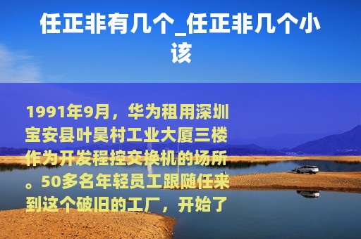 任正非的子女與華為的軟件開(kāi)發(fā)之路